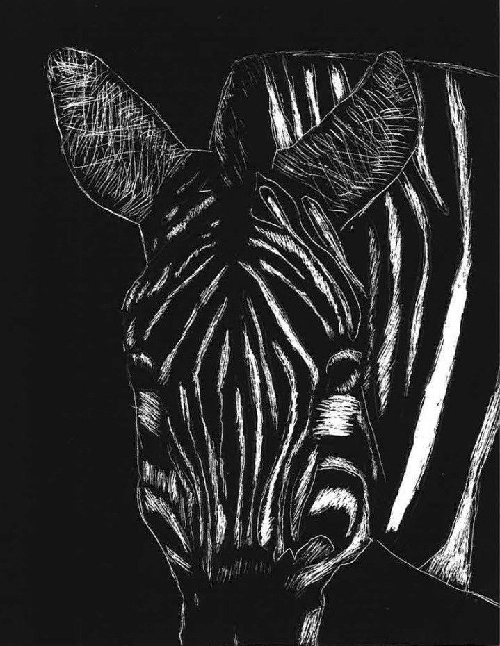 Digital Mixed Media Scratchboard