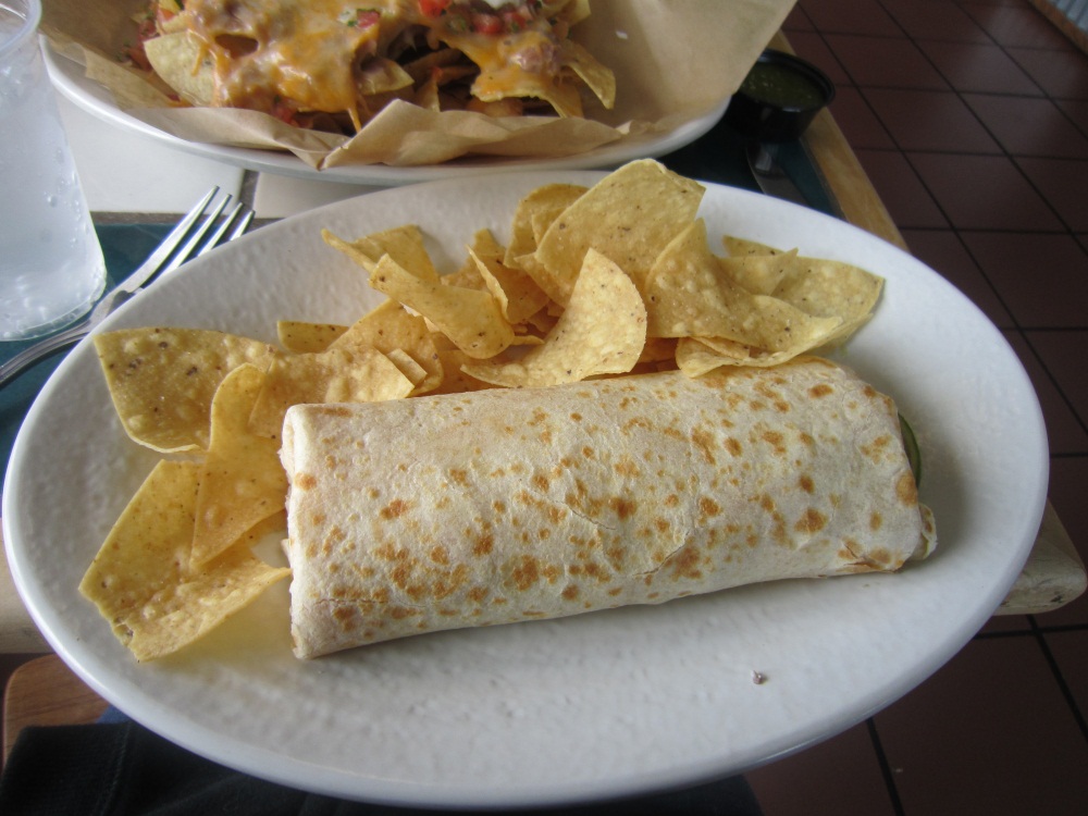 Rubio's Mexican Food San Diego Dining Dish!