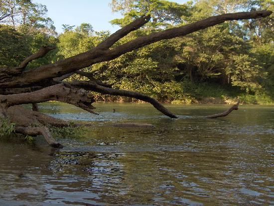 Area de Conservación Guanacaste World Heritage Site Exploration