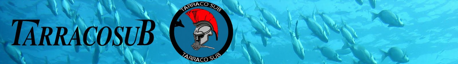 TARRACOSUB