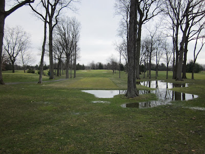 Wet Golf Course