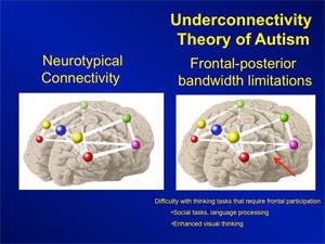 New Brain Imaging And Computer Modeling Predicts Autistic Brain Activity And Behavior