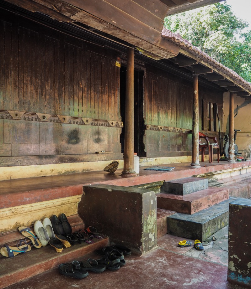 India the mysterious Elephant Camp near Alleppey, Kerala