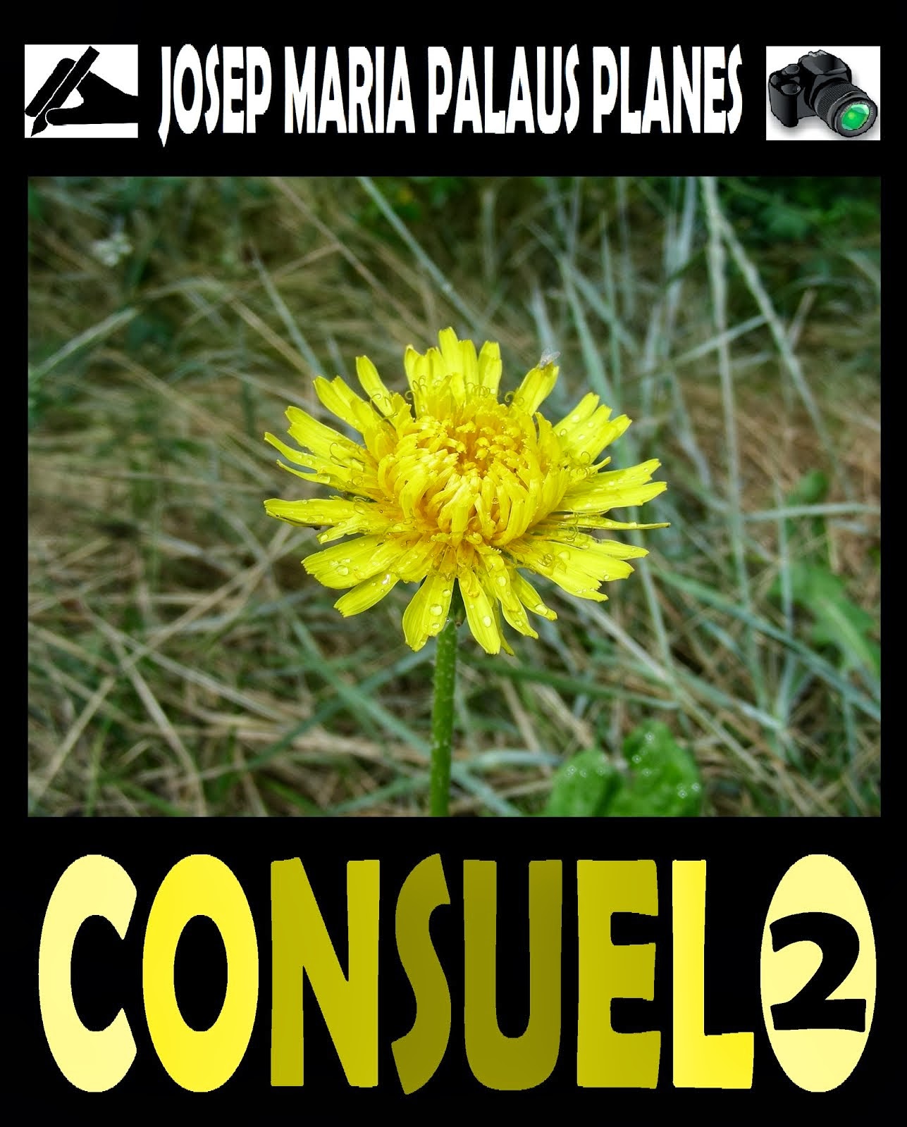 CONSUELO [2] [ESP]