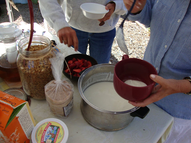 Homemade Yogurt topped with...