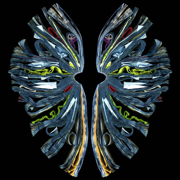 Cara Barer Biography