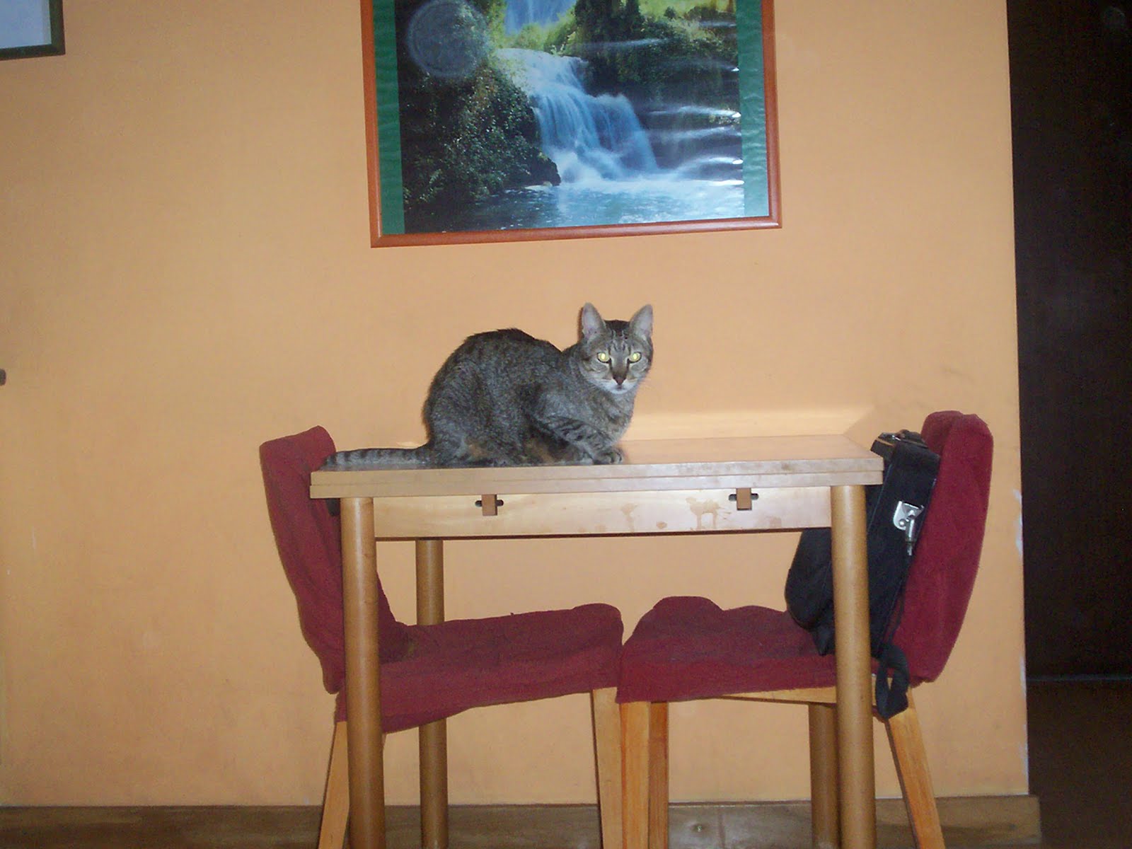 Buscando la Luz: junio 2012