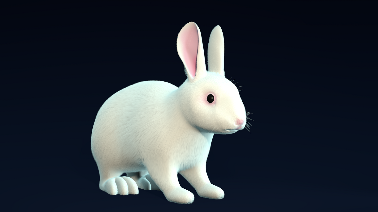 Blender Magicians Rabbit