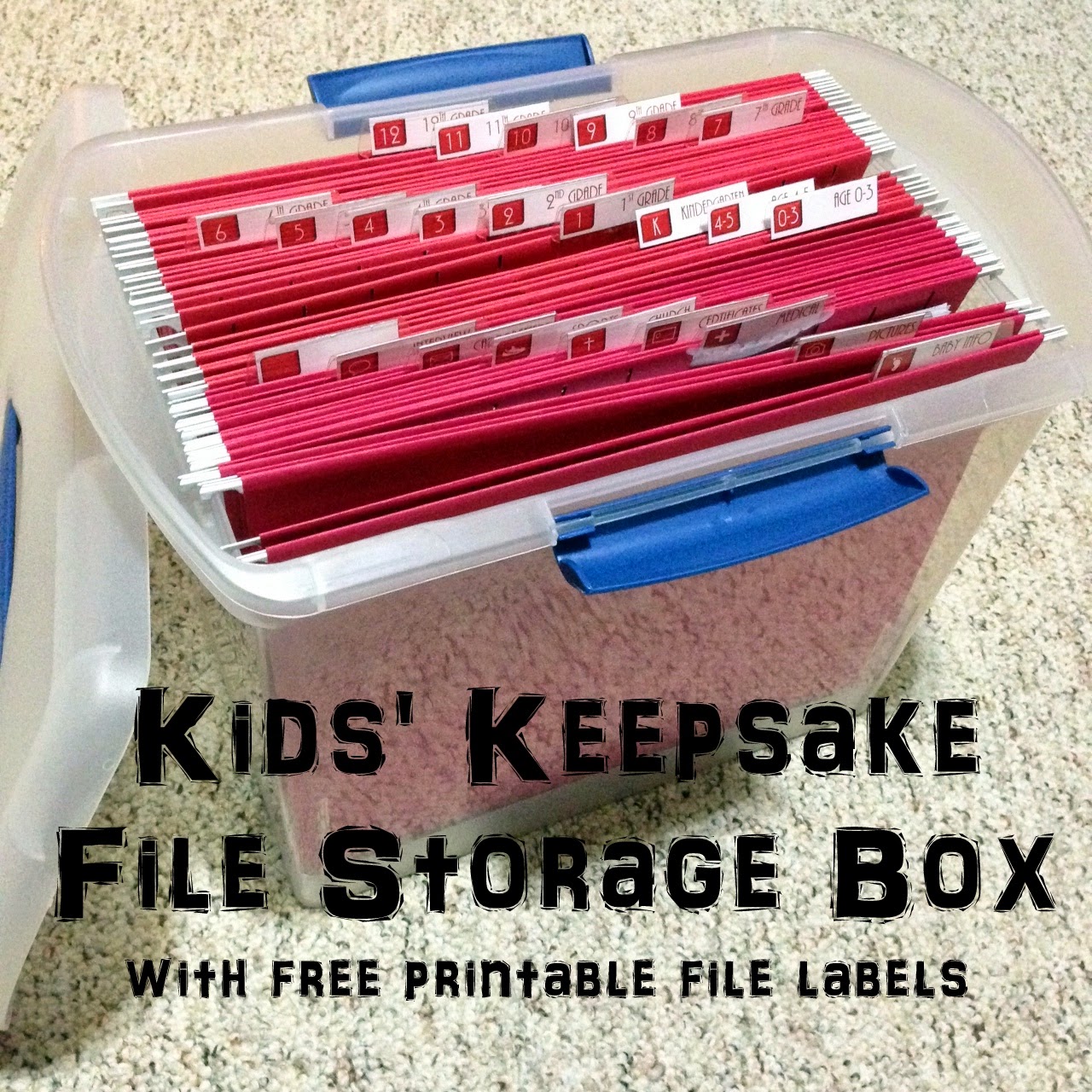 COBO Kids' Keepsake File Storage Boxes