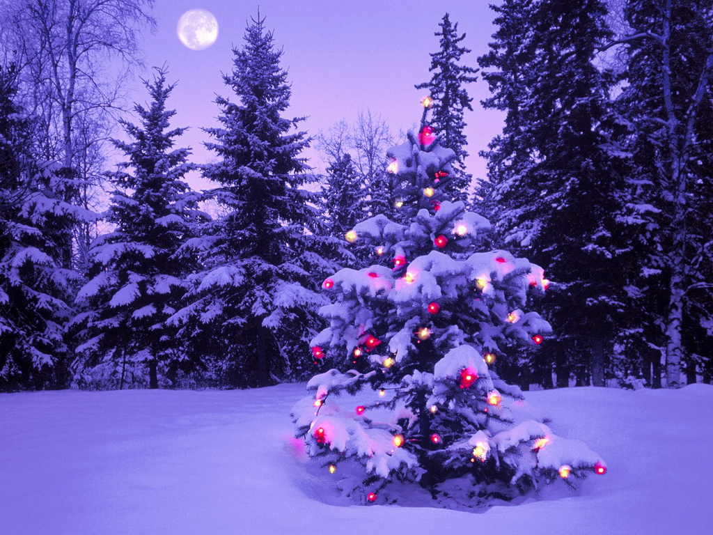 http://2.bp.blogspot.com/-W0KDVURGocU/UAKbbSrlquI/AAAAAAAAD3c/SXIHPAe7DLo/s1600/Christmas+in+the+Wilderness+-+Christmas+Wallpaper.jpg
