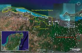 VEGETACION DE LA PENINSULA DE YUCATAN vegetacion de la peninsula de yucatan: