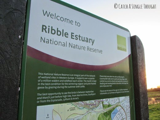 ribble estuary #shop #cbias