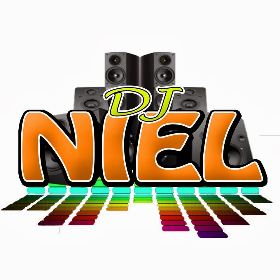 DJ NIEL