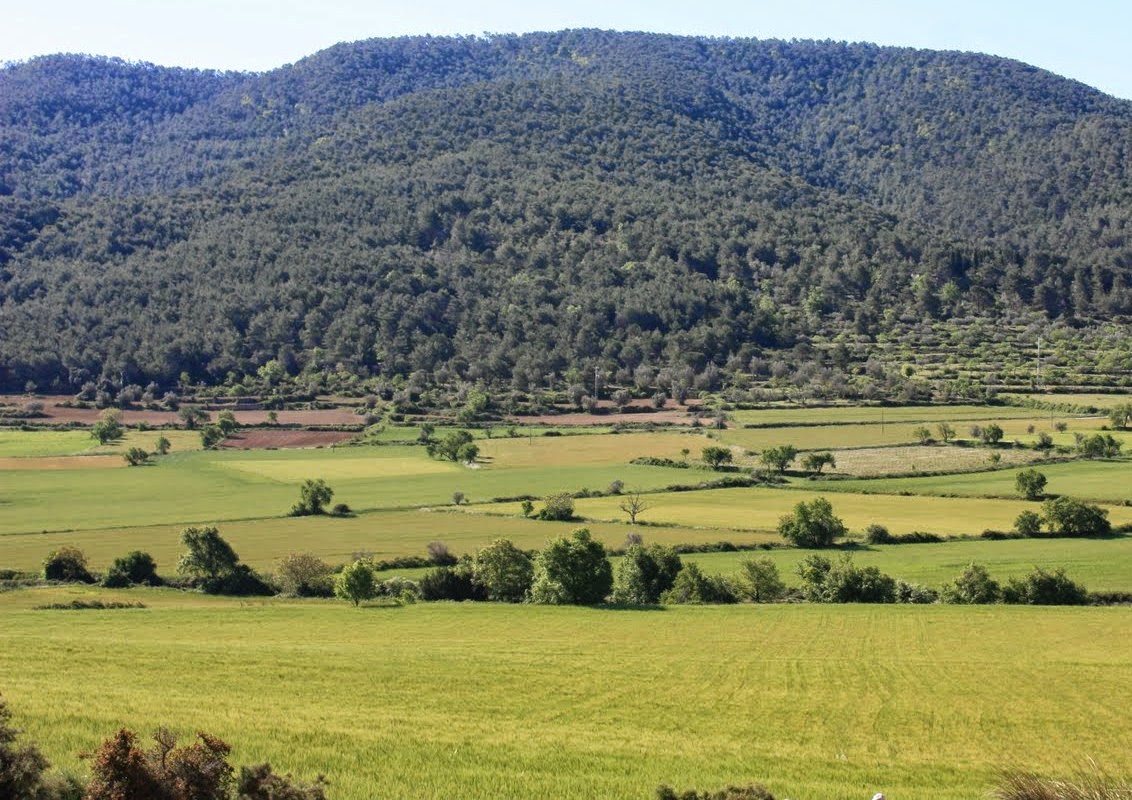 pepsans senderisme,rutes,viatges i actualitat Ruta Verda per La Llacuna