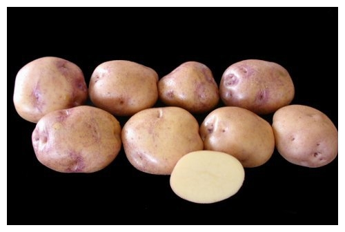 VARIEDAD PAPA variedad papa: