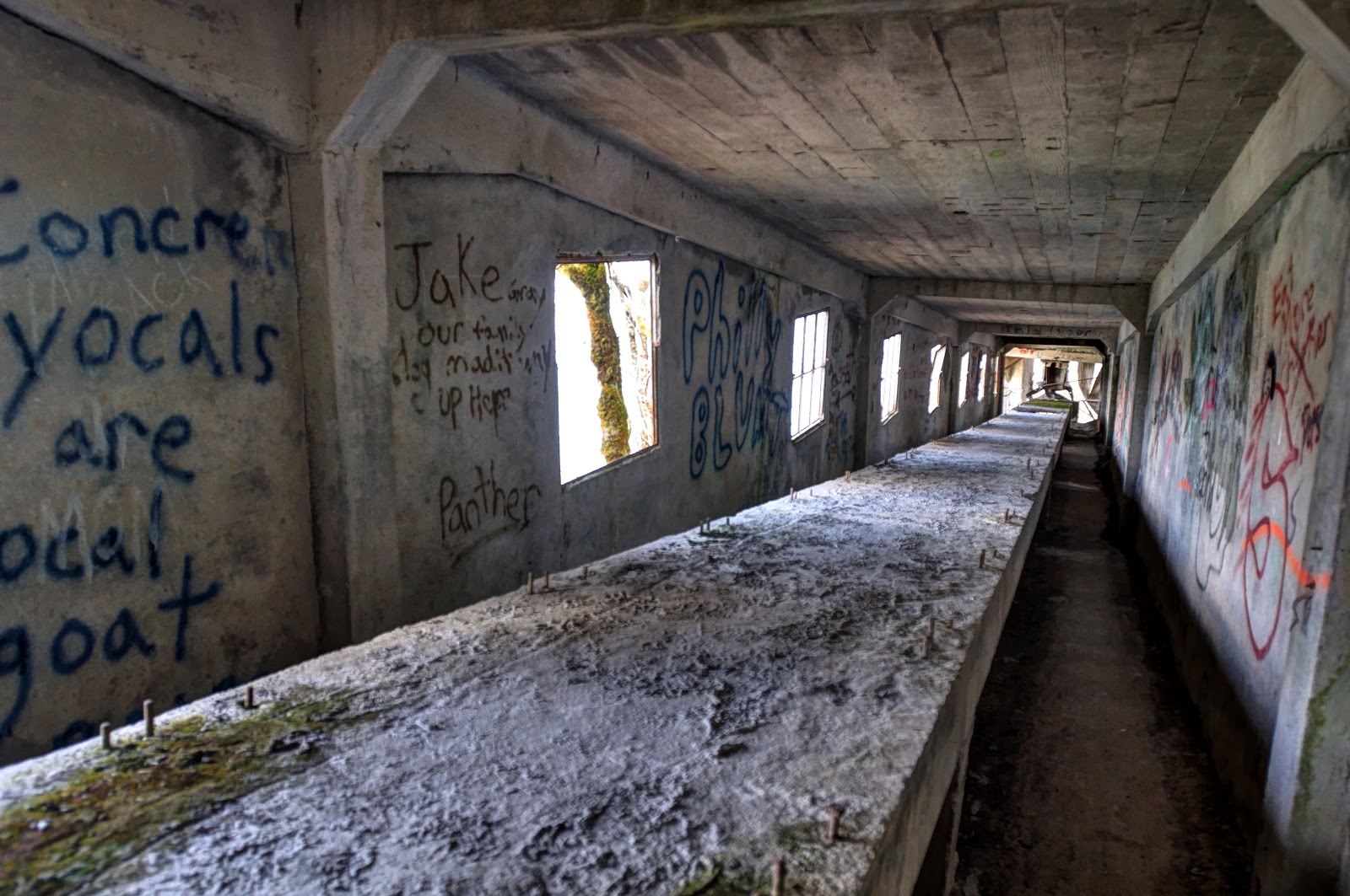 This Life in Ruins the tunnel at the cement factory in concrete, wa