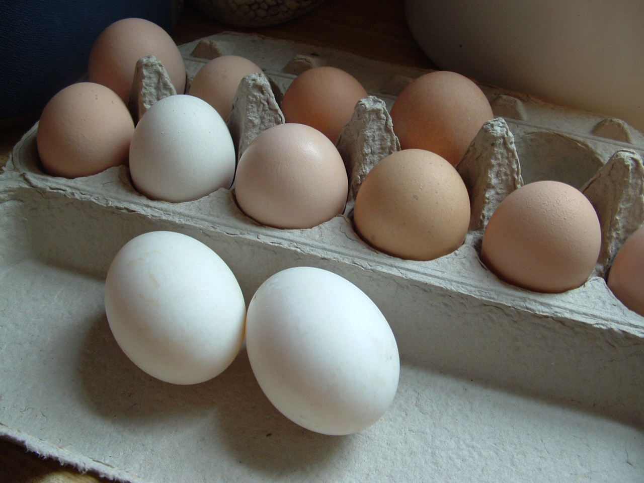Sheep, Spinach and Strawberries Saxony Ducks