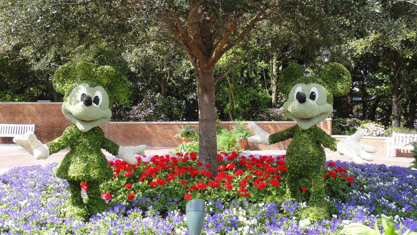 Disney Landscaping
