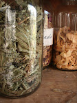 Wild Herbs in Jars