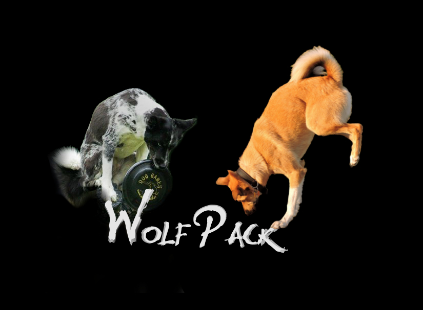 Wolfpack 