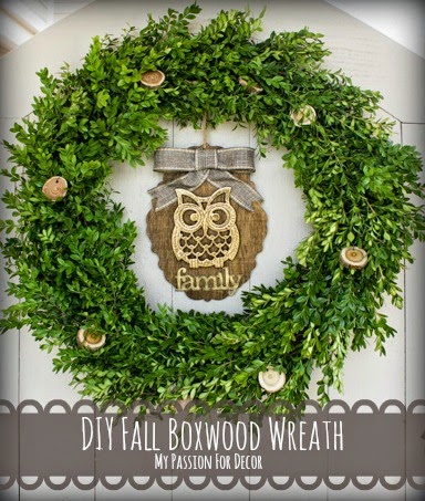 Future Plants By Randy Stewart Boxwoods