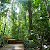暴走圣地：新加坡贝雅士蓄水池下段步道——充满趣味的原始丛林探险