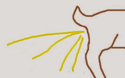 Adirondack Goat Club April Topic A Poorly Illustrated Guide To