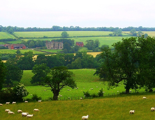 The+raven+hotel+much+wenlock+shropshire