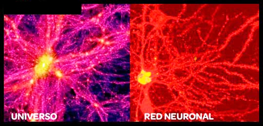 red+neuronal.jpg
