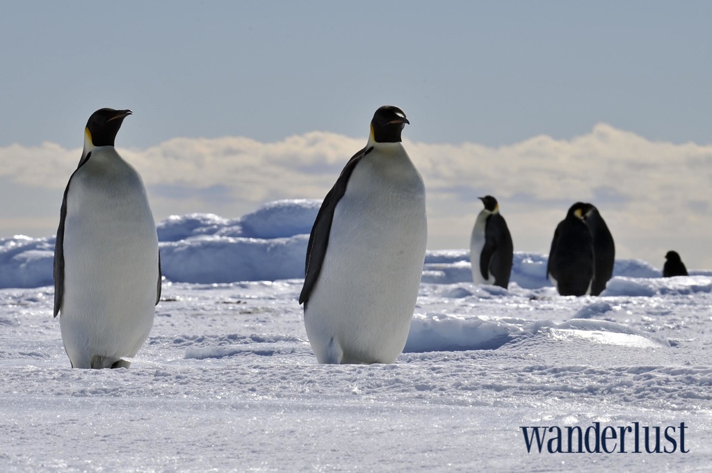 10 nơi phải đến trước 35 tuổi 12 09.10 noi phai den truoc 35 wanderlusttips