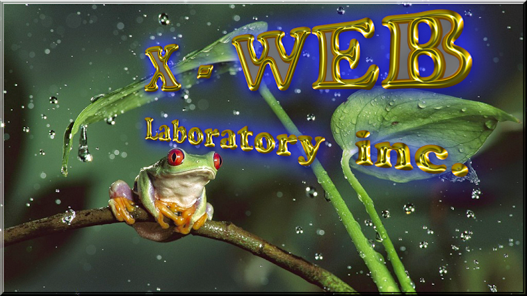 "X - WEB Laboratory inc."