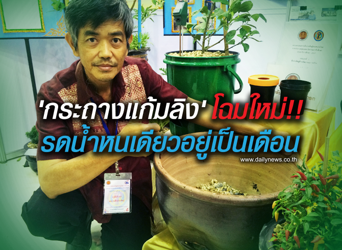 กระถางแก้มลิง (รูปแบบใหม่) ดูแลต้นไม้ ง่ายกว่าเดิม กระถางแก้มลิง (รูปแบบใหม่) ดูแลต้นไม้ ง่ายกว่าเดิม