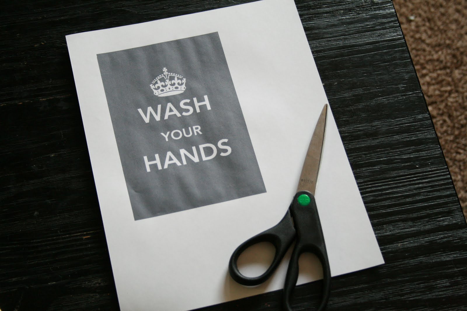 Beauprez Family: DIY craft time-"Wash your hands"