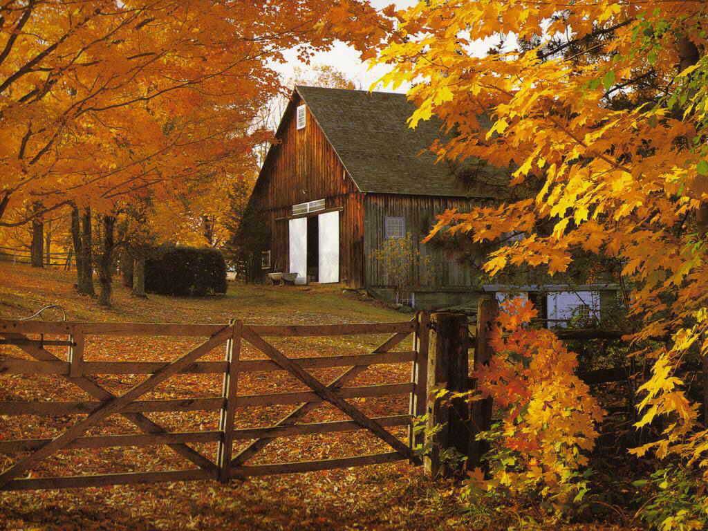 http://2.bp.blogspot.com/-W5tqa5qVrPw/Tm0bY5YvW-I/AAAAAAAAE-8/n4N2qEUDlh0/s1600/free+autumn+wallpapers-3.jpg