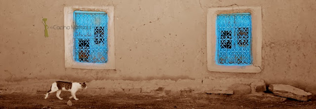 Nueva Cocina Marroqui