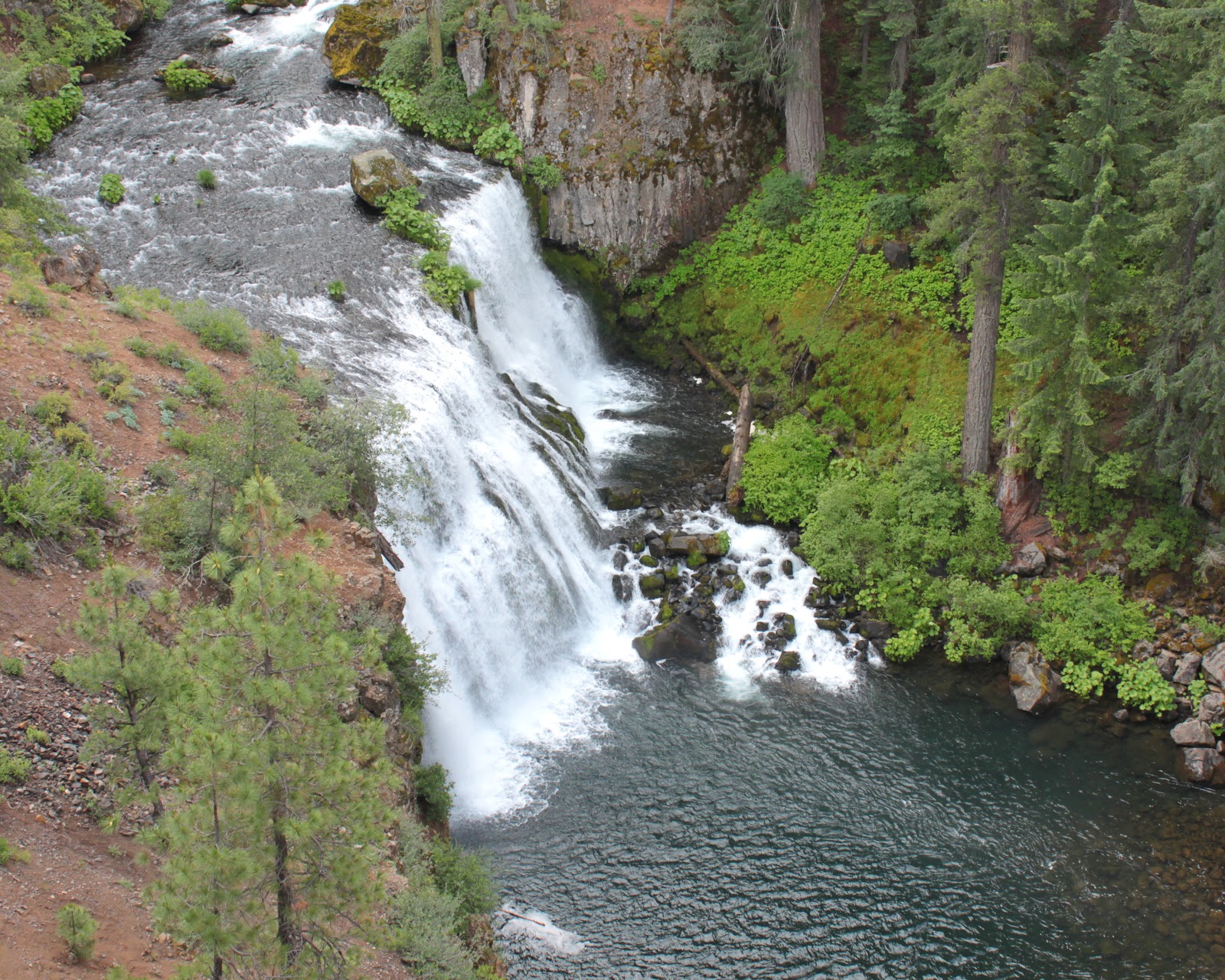 Richard Hikes McCloud River Trail