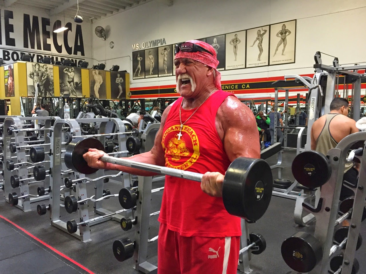Hulk Hogan Fans Club Italia Hulk Hogan E Tornato Ad Allenarsi Alla Gold S Gym Di Venice Beach California