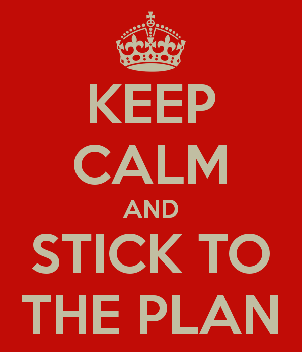 Image result for stick to plan