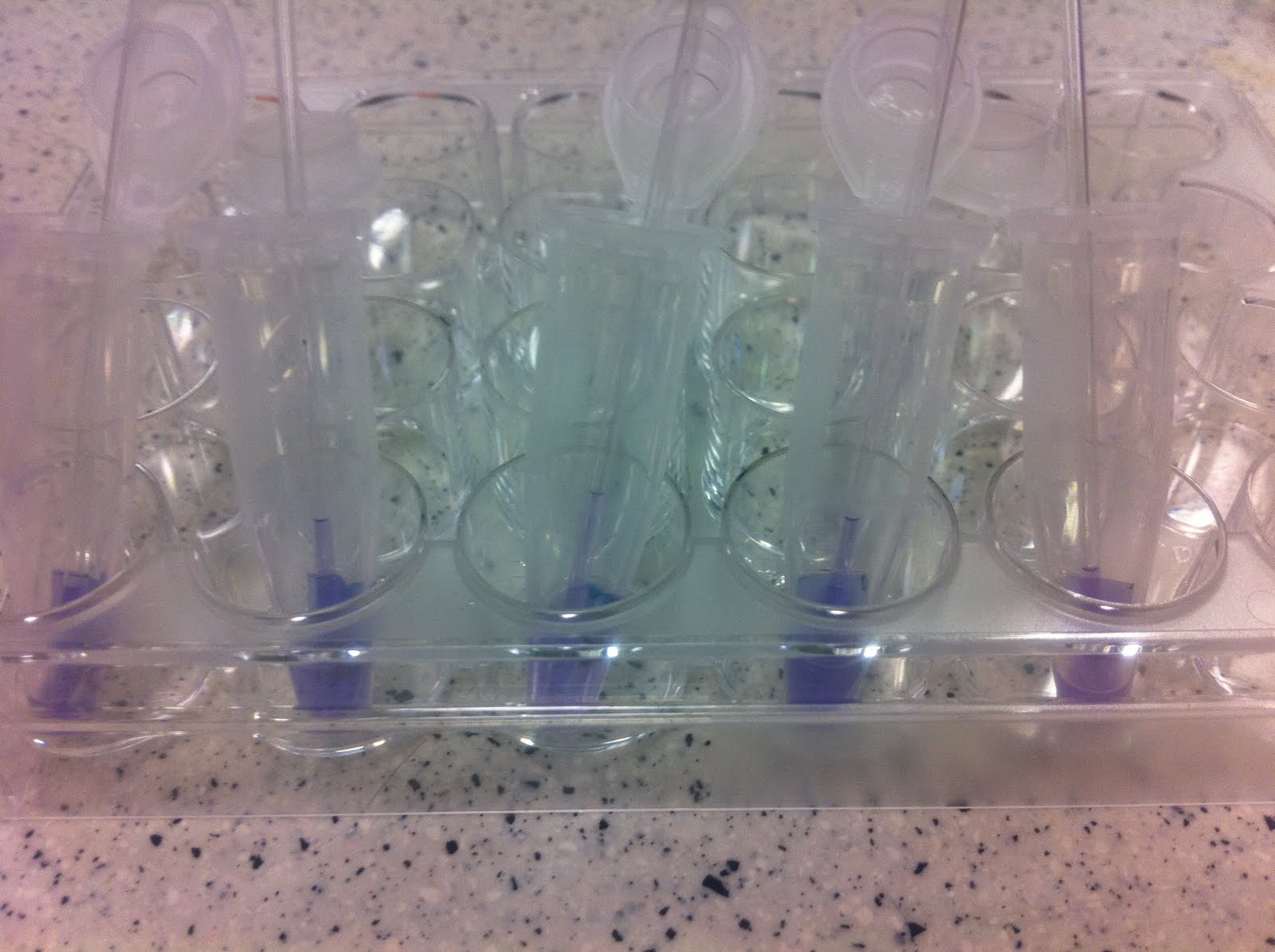 Crime Scene Investigation Chromatography and Flames