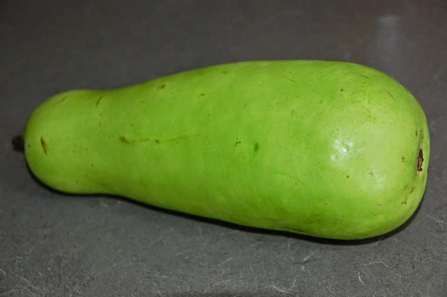 Healty Health Benefits of bottle gourd (Calabash) for your body