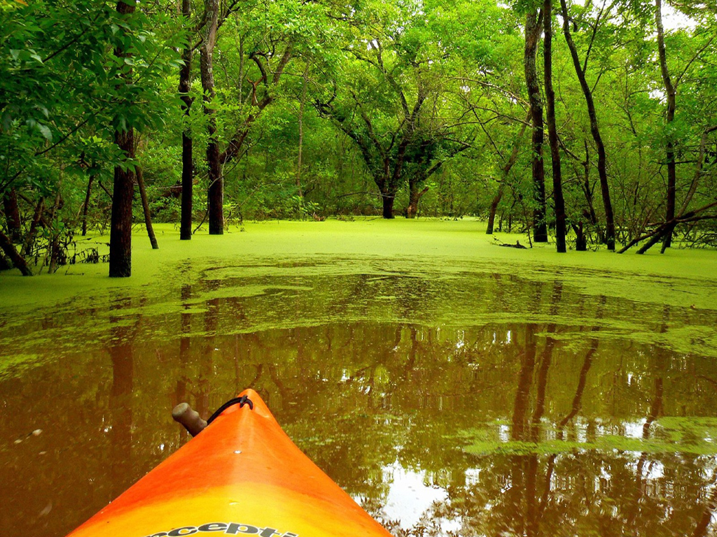http://2.bp.blogspot.com/-W7_QoSfQ-NQ/TppaC7pCRWI/AAAAAAAACt0/ftdXiVipKOE/s1600/nature+3.jpg