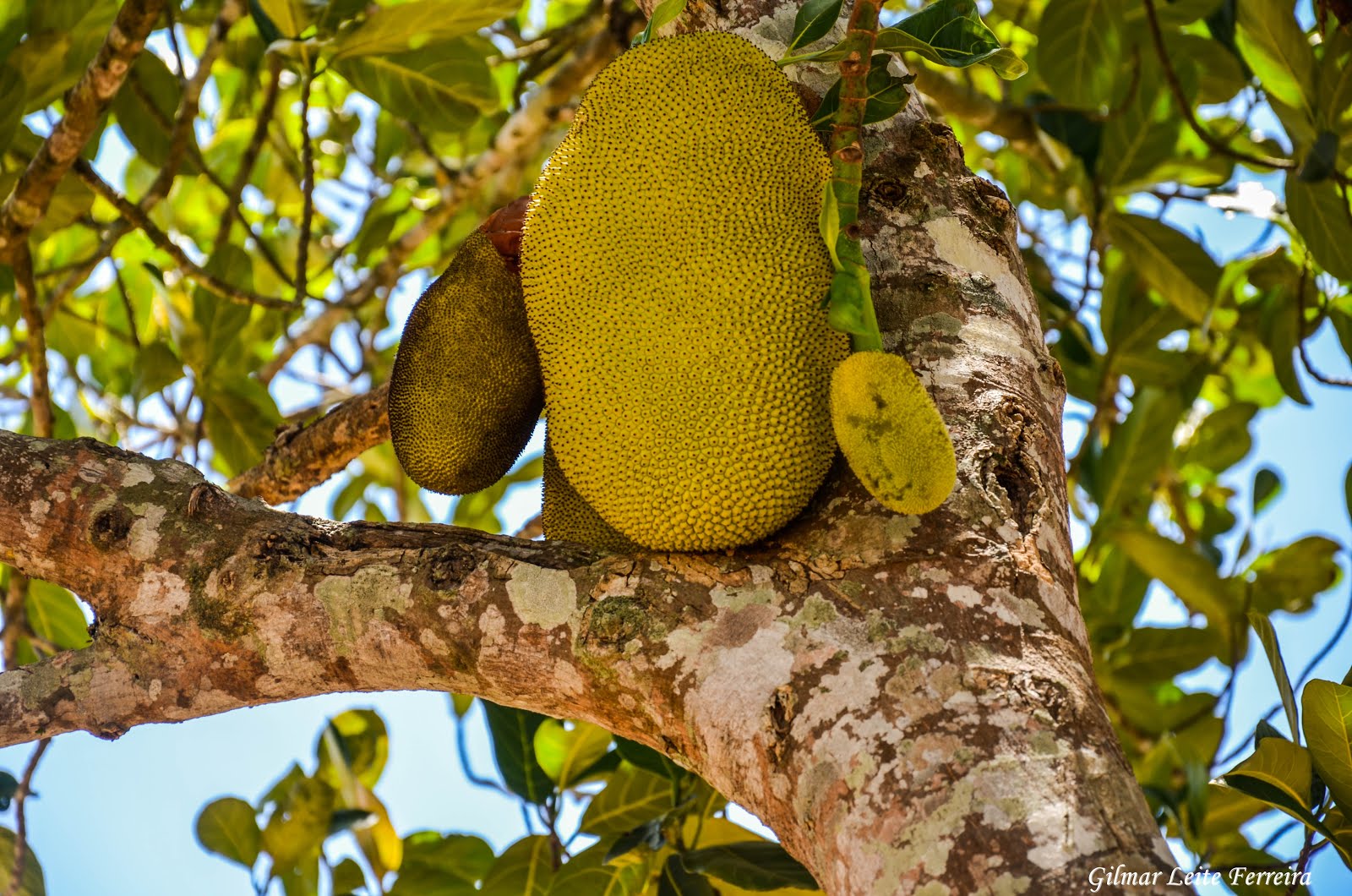 EXPEDIÇÃO RIO PARAÍBA