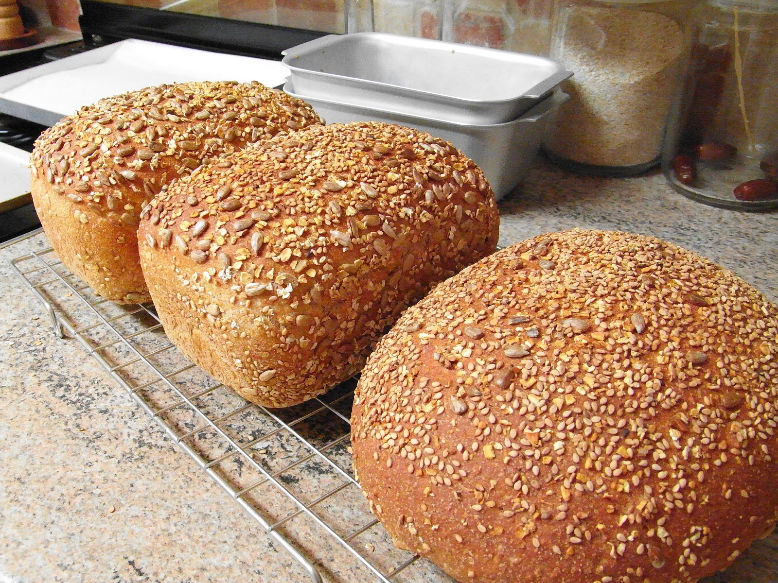 Stasher Silverwood Bakeware