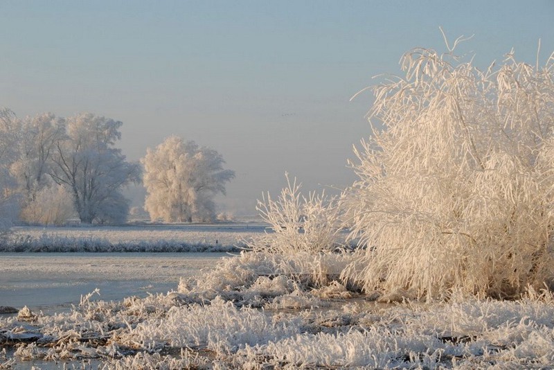 Красивые зимние фотографии (25 фото)