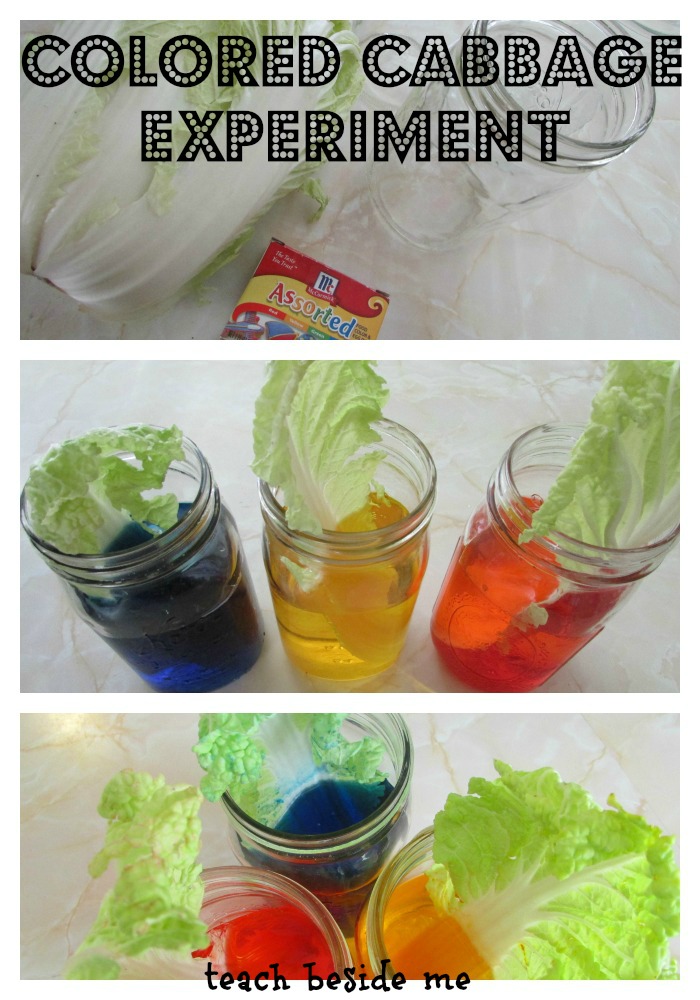 Color Science Experiments for Kids Rainbow STEM Teach Beside Me