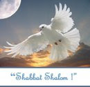 *Pray for Peace in Israel*<((>