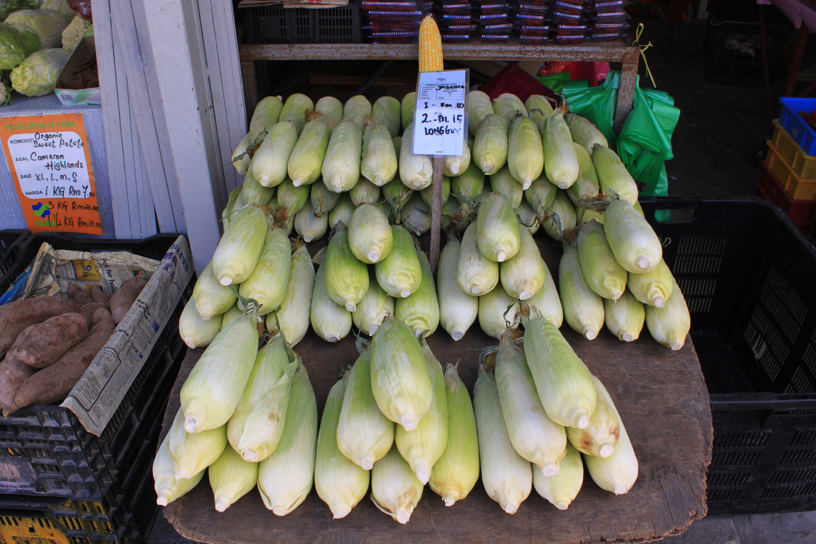 Cameron Highlands - Marché