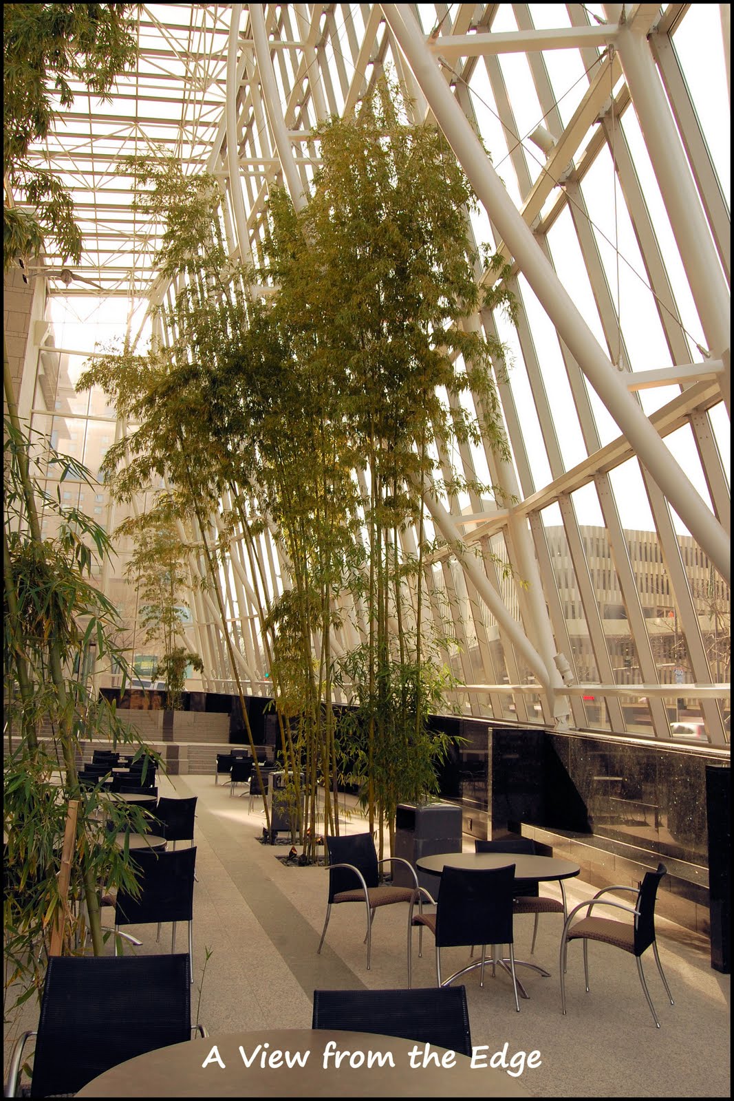 A View from the Edge Omaha Sculpture Park