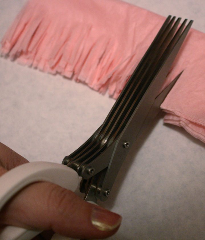 Sparklinbecks Martha Stewart Fringe Scissors