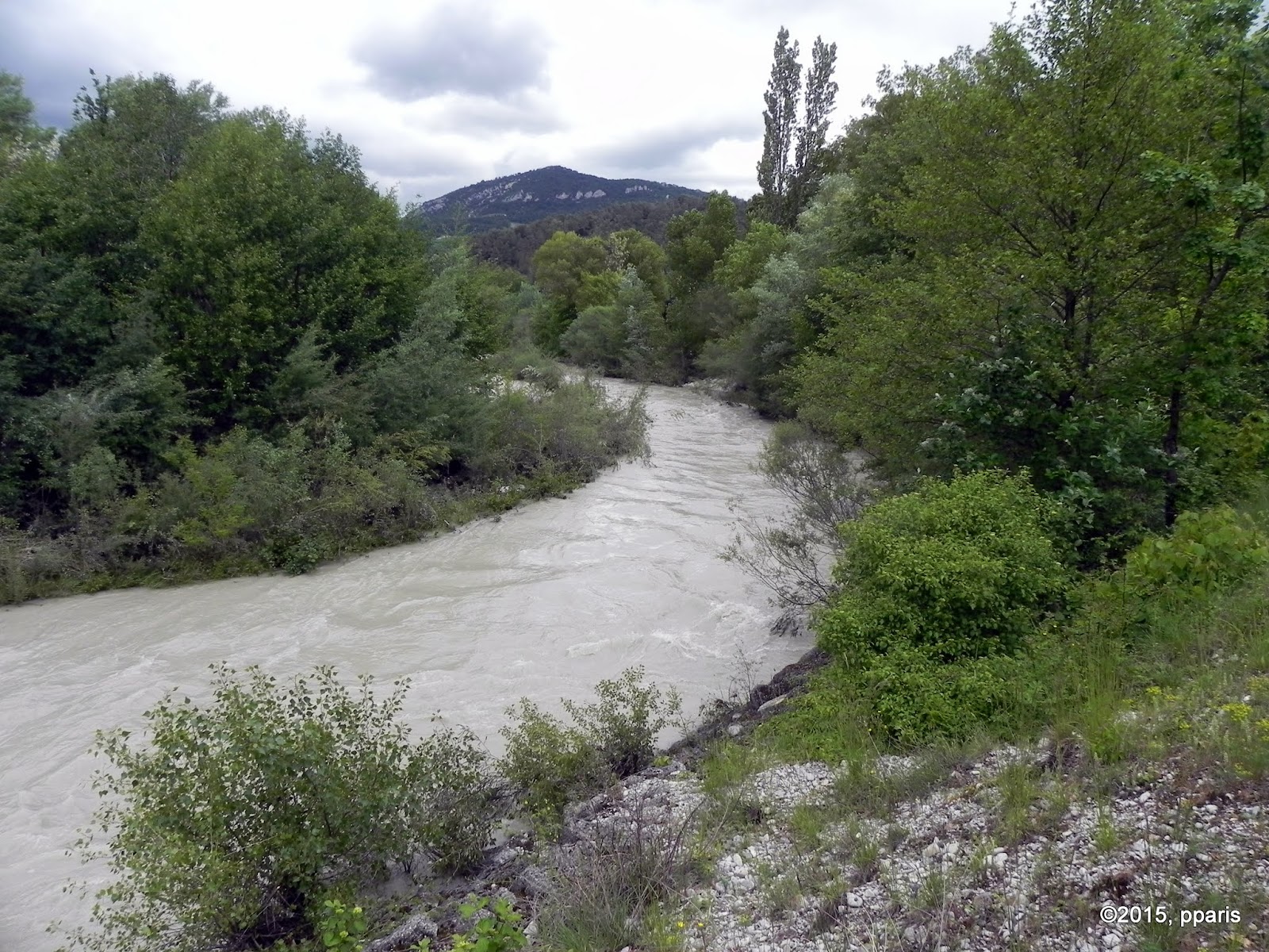 toute ces rencontres